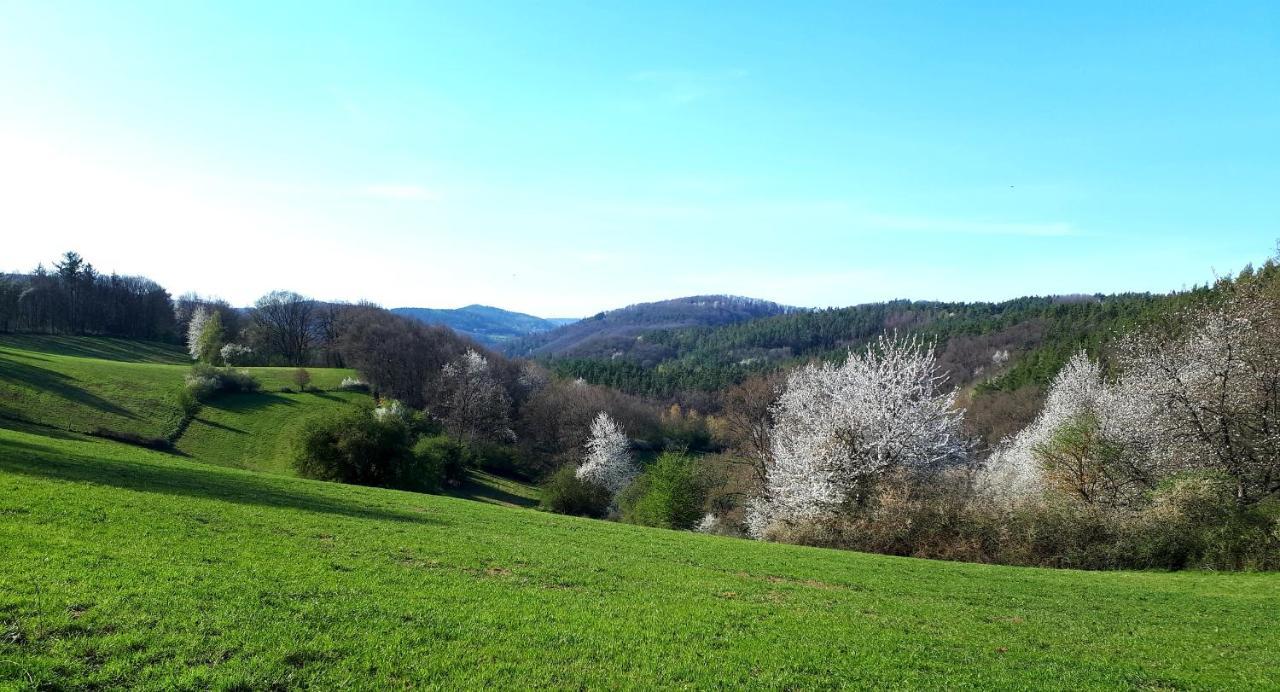 Ferienwohnung Lieblingsplatz Fuer 2 Nideggen Buitenkant foto